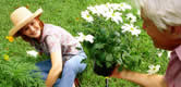Osteoporosis, the silent disease